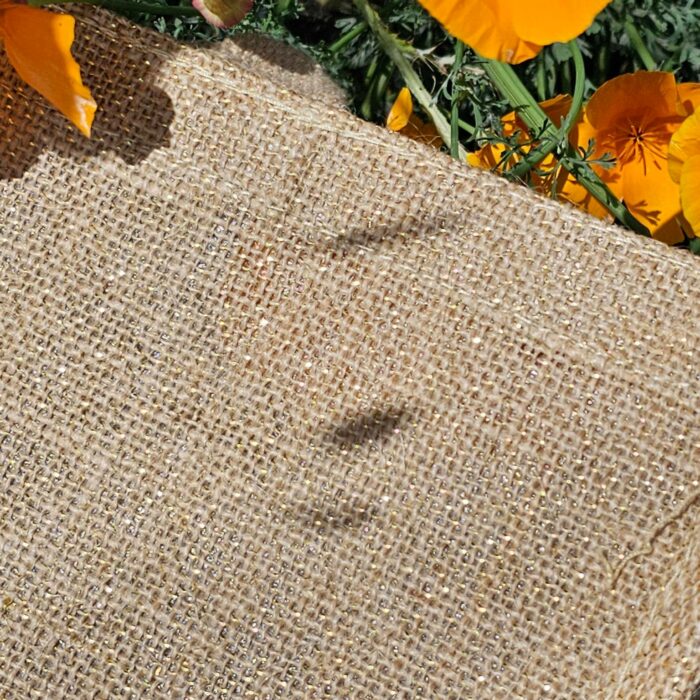 486283560_1253918353039783_7054955333310217700_n 486283560_1253918353039783_7054955333310217700_n