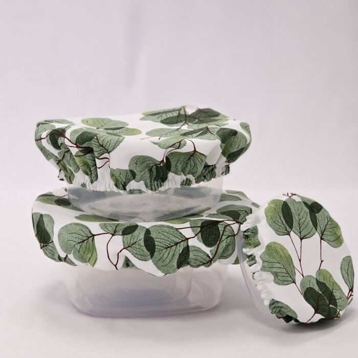 494338489_1310187197412898_1657725746888586610_n