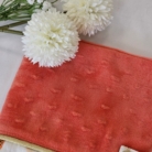 Protége Carnet de santé papillon 2