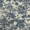 savane