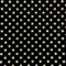 point-noir