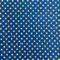 point-bleu